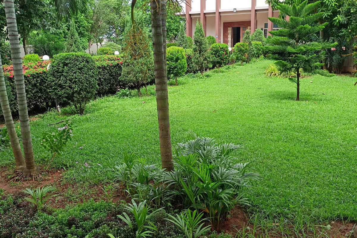 blog-1